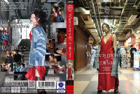 Where is my wife? (Mitsuba Chiharu, DLDSS-566)